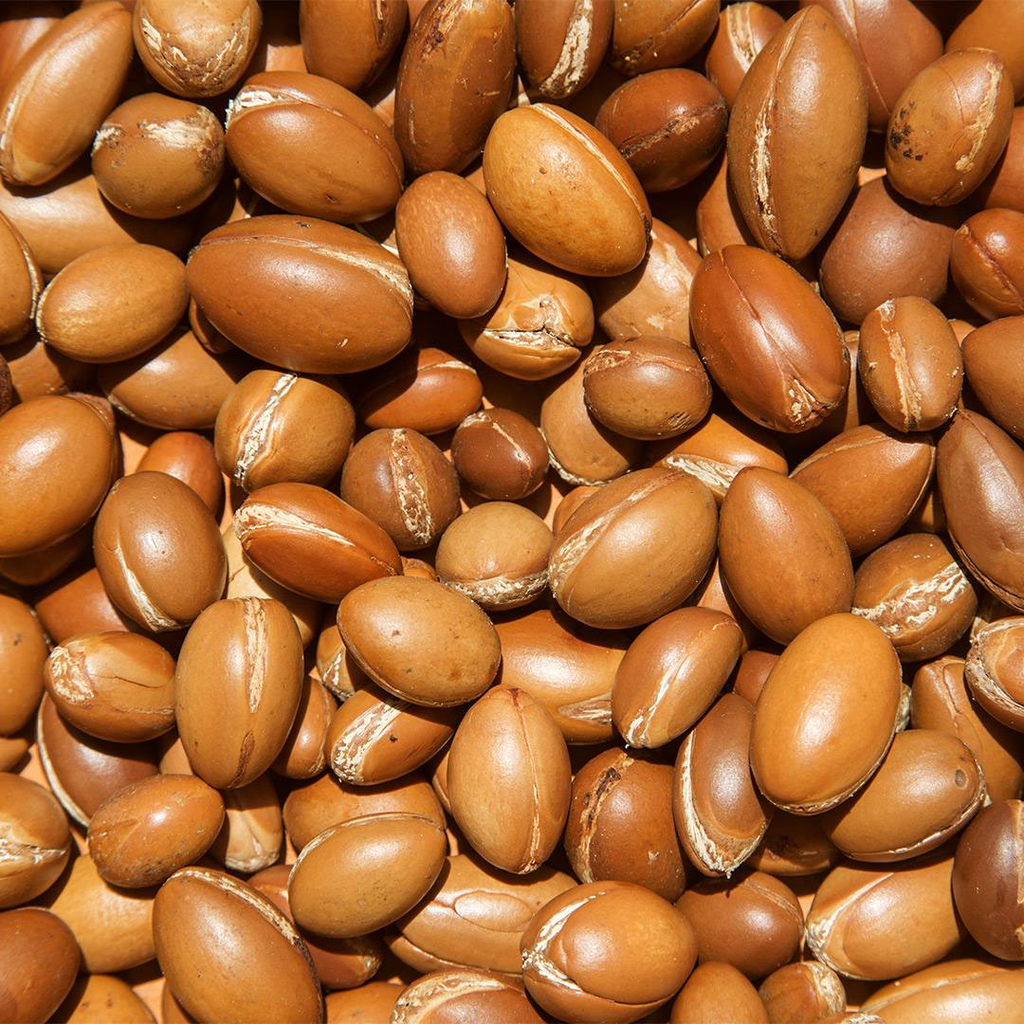 Sample Sachet  - Argan Oil Face Cream