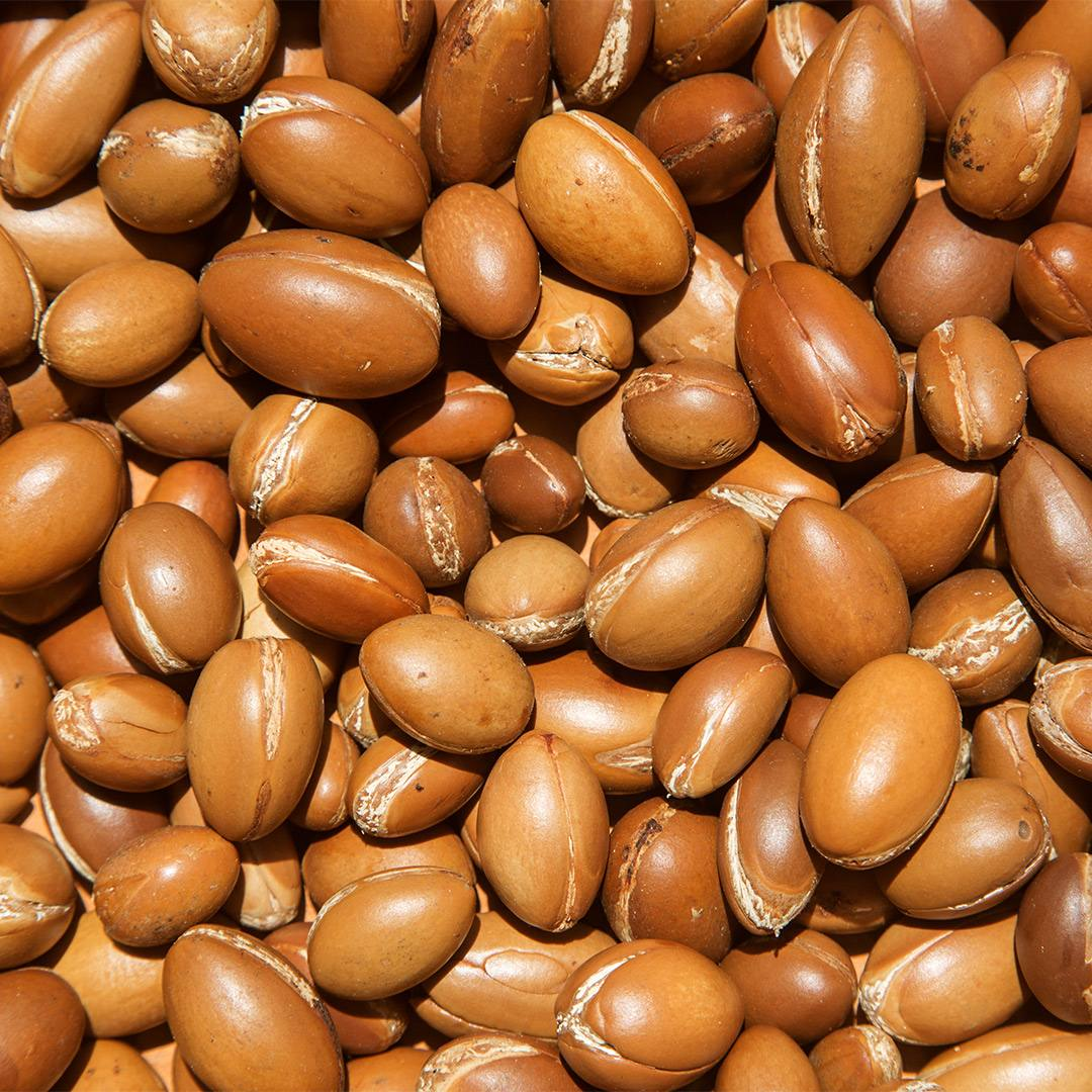 Sample Sachet  - Argan Oil Face Cream