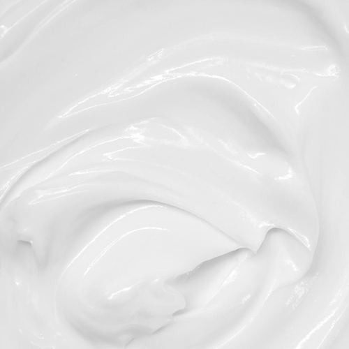 Aloe Vera Day Face Cream